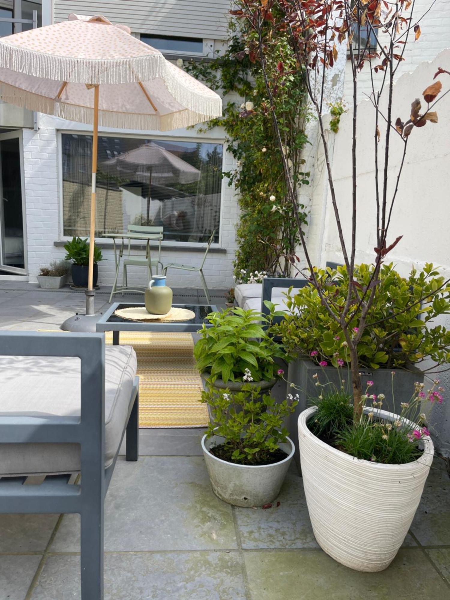Guesthouse Poppies , Free Parking Ostend Luaran gambar